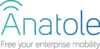 ATEM logo