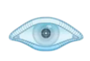 Nmap logo