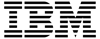 IBM watsonx.data