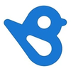 BirdEye logo