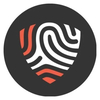 BigID logo