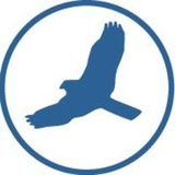 HawkSoft logo
