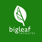 Bigleaf logo