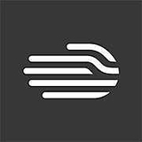 Digital Reasoning Systems logo