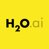 H2O logo