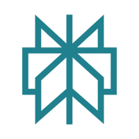 Perplexity AI